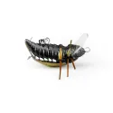 Imago Lures Maybug 3.5F Surface Exclusive