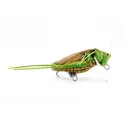 Imago Lures HOPPER 3.5F LBG