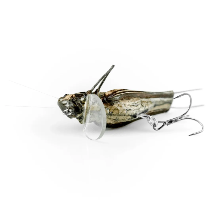 Imago Lures HOPPER 4.5F LBDB