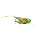 Imago Lures HOPPER 4.5F LBG Flow - Bez steru