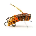 IMAGO LURES Hornet 3.5F OB